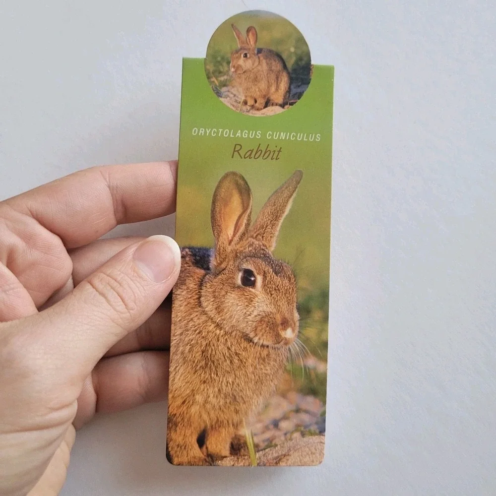 Cardmarks Bunny Rabbit Wild Animals Magnetic Magnet UK Company If #2407, Y2k 00s